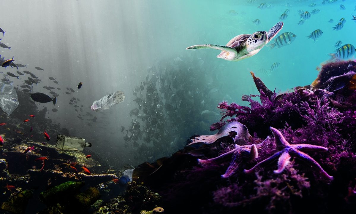 Eneco Clean Beach Cup Plastic Soup visual
