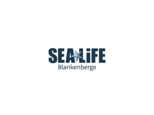 Sea Life