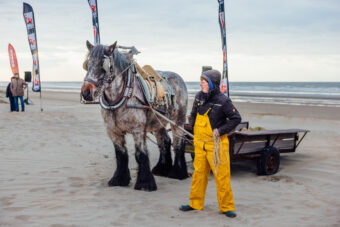 Eneco Beach Clean Up2024 K Uyttendaele 20240324 MG 5203