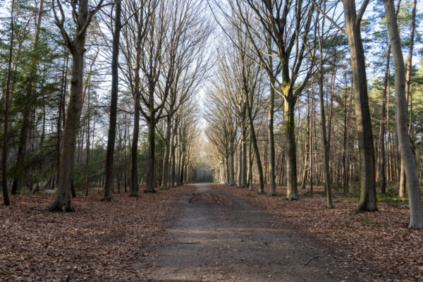 De Click Brugge Natuur 2